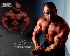 branch_warren_ifbb_pro_bodybuilder_wallpaper_1280x1024.jpg