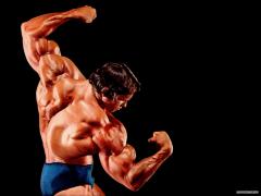arnold_schwarzenegger_twisting_back_wallpaper_1024x768.jpg
