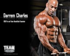 dareem_charles_bodybuilder_wallpaper_1280x1024.jpg