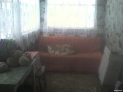 DSC00081.JPG