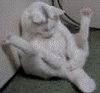 14140.gif
