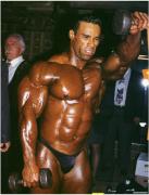 Levrone__9a8257bc_.jpg