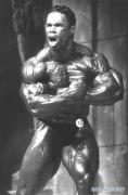 Levrone__28d98f91_.jpg