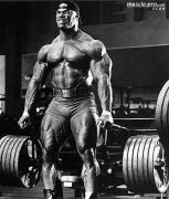 Levrone__5855435c_.jpg