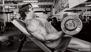 5171_arnold_lg.jpg