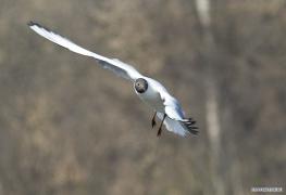 IMG_47284.jpg