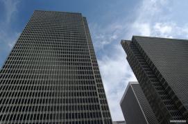 IMGP1714_1000.jpg
