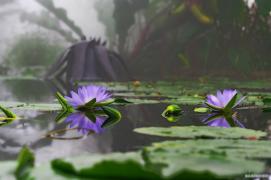IMGP1056_1000.jpg