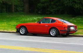 IMGP1146_1100.jpg