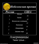 368136_amerikantsyi.jpg