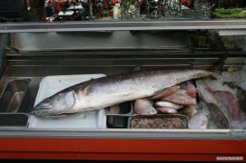 IMG_5013.jpg