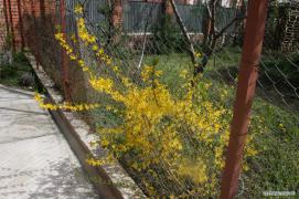 дом_047.jpg