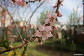 дом_048.jpg