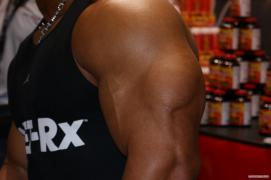 DSC08863__1280x768_.JPG