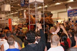 DSC08966__1280x768_.JPG
