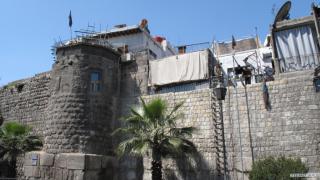 IMG_3331.JPG