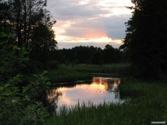 Копия_IMG_0510.jpg
