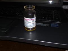 08042010007.jpg