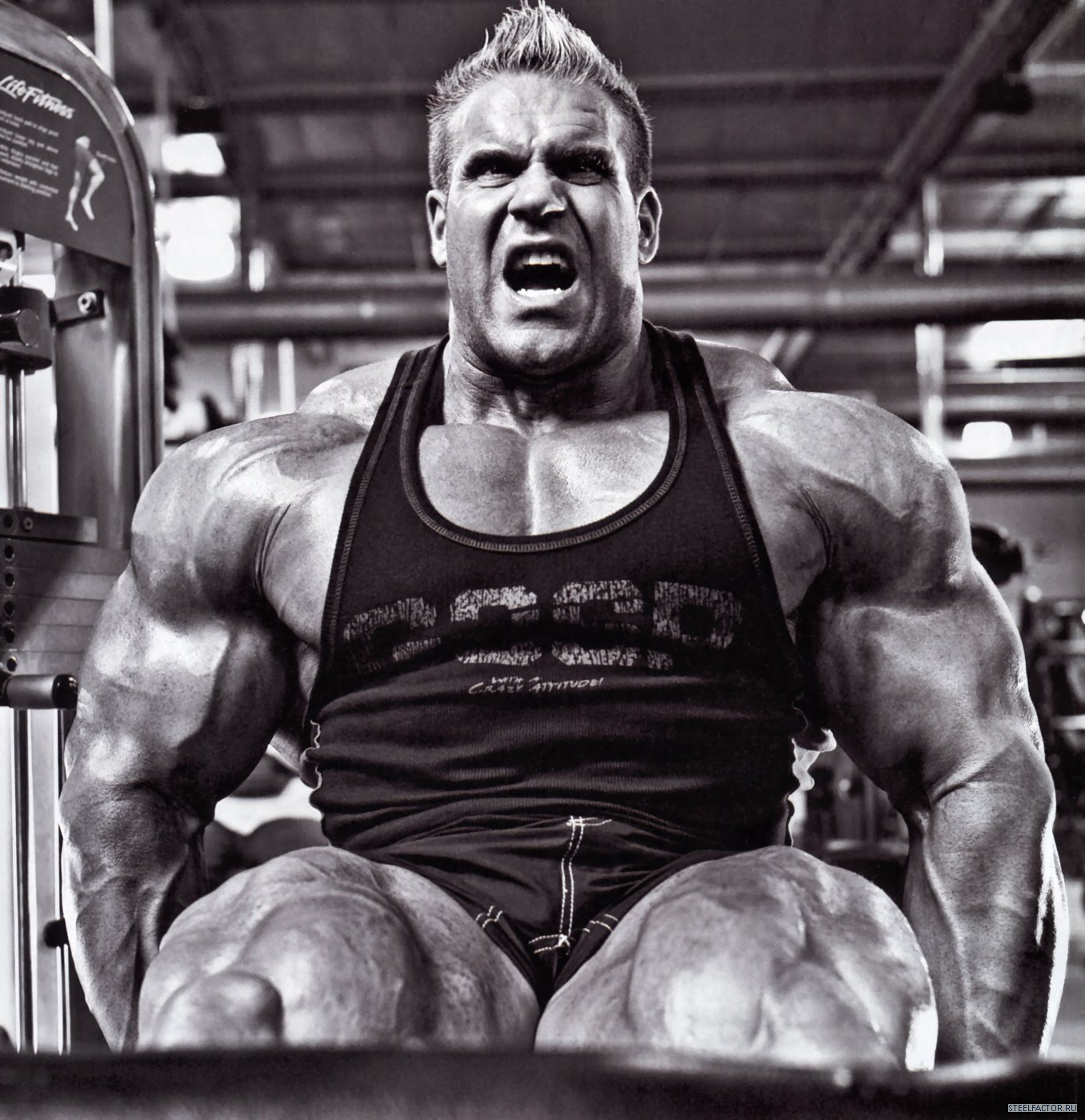 Jay Cutler