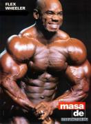 normal_flex_wheeler_039.jpg