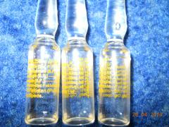 DSCN0236.jpg
