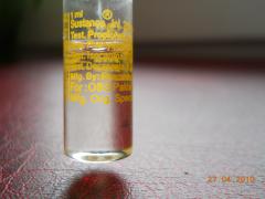 DSCN0234.jpg