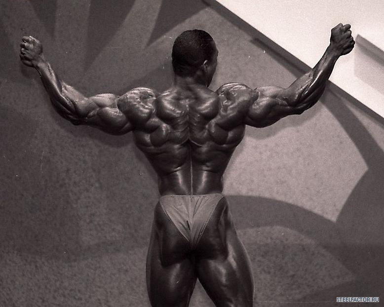 Flex Wheeler спина