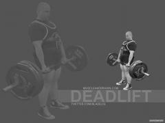 1024deadlift.jpg