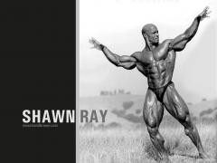 1024ray.jpg