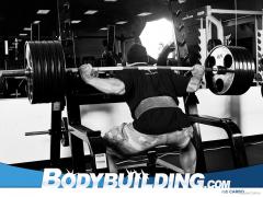bg447_1024.jpg