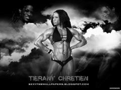tierany_chretien_1024_by_768.jpg