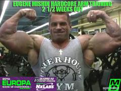 mishin_arms.jpg