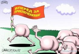 Жопа_и_приключения.jpg