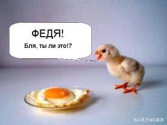 Ципленок_и_яйцо_.jpg