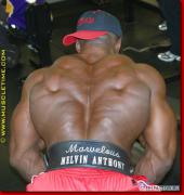 Melvin_Anthony_20_157_.jpg