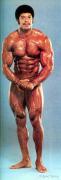 Bill_Grant_36.jpg