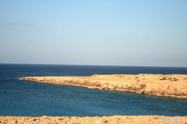 x_cf051646.jpg