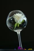 DSC02898.JPG