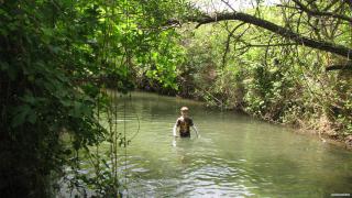 IMG_5467.jpg