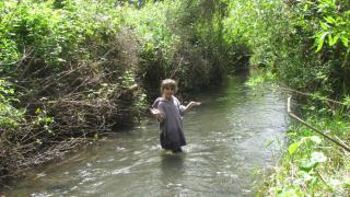 IMG_5513.jpg
