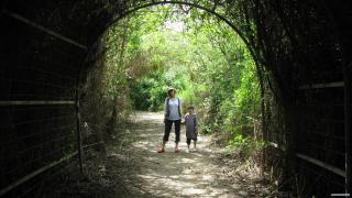IMG_5529.jpg