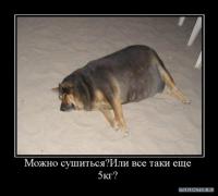 x_9ad7b057.jpg