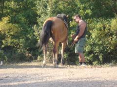 DSC05480.JPG