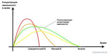 Diagram.jpg