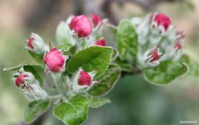 IMG_6502a.jpg