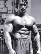 arnold16.png