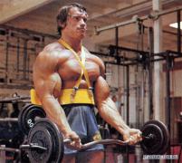 arnold_72.jpg