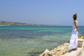 DSCN8255.jpg