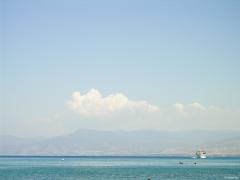 DSCN8444.jpg