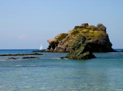 DSCN8463.jpg